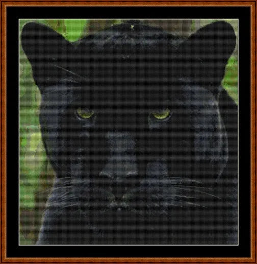 Panther