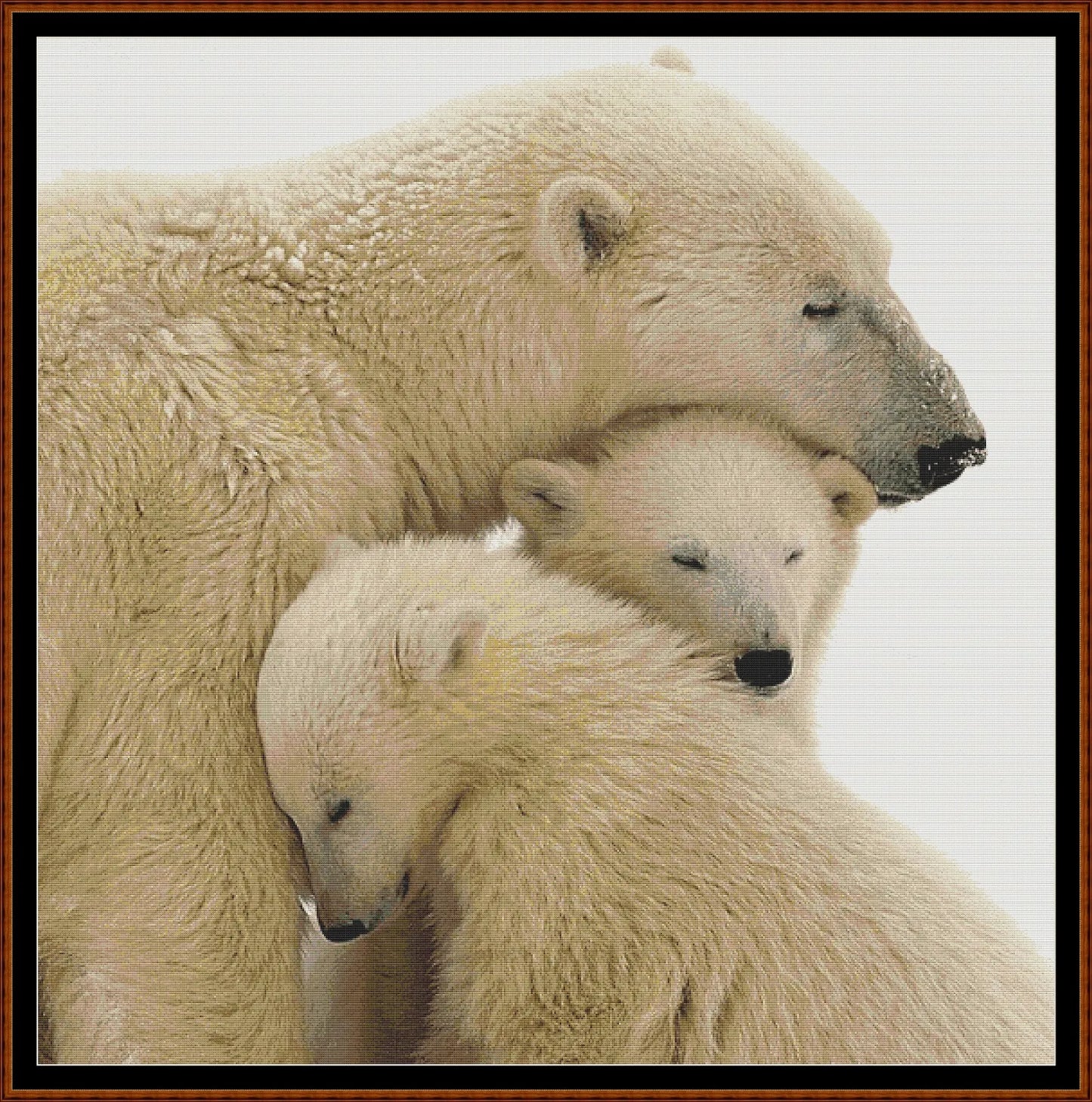 Polar Bear Family