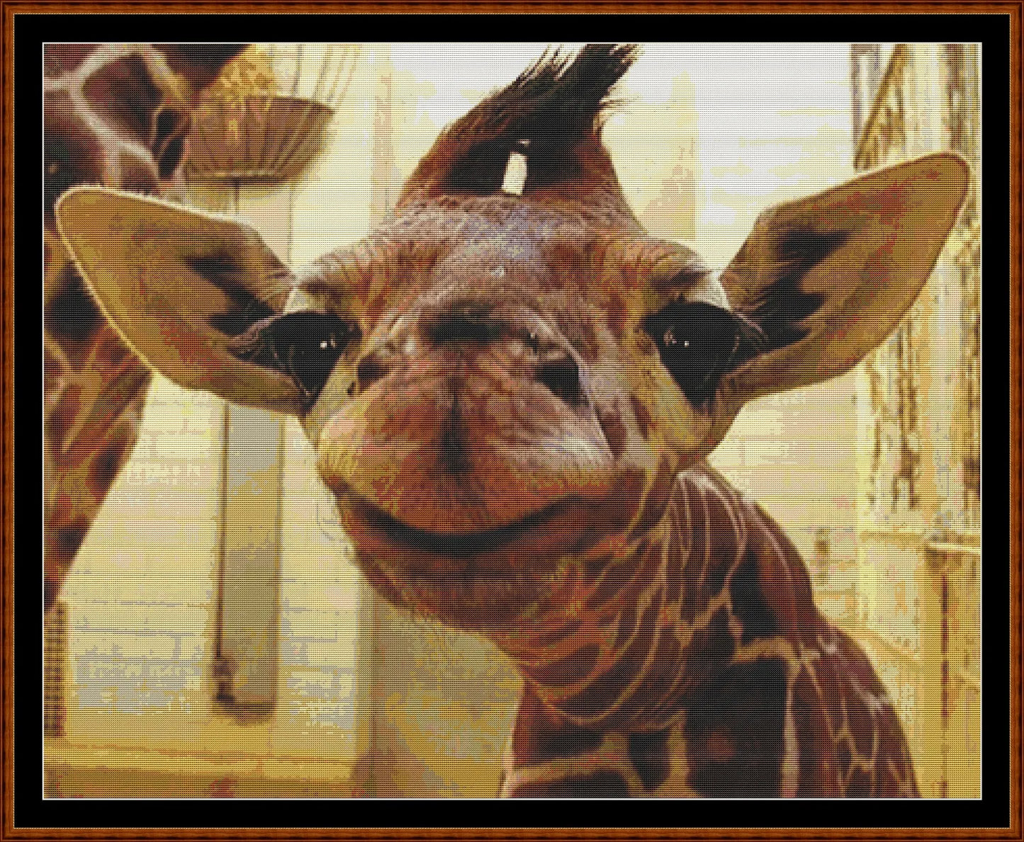 Giraffe Baby