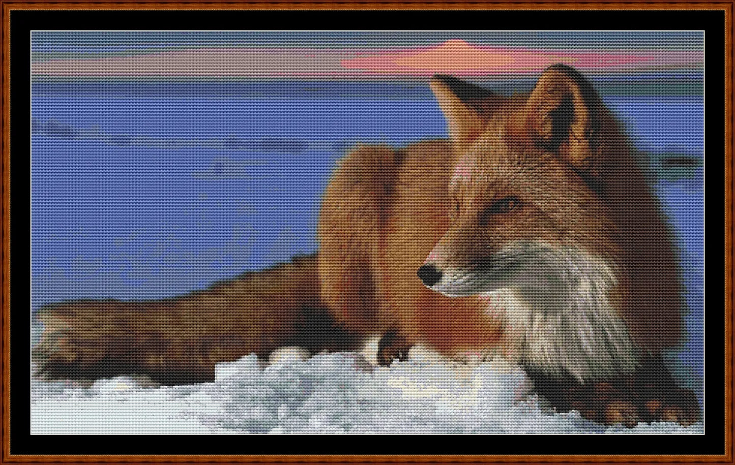 Red Fox