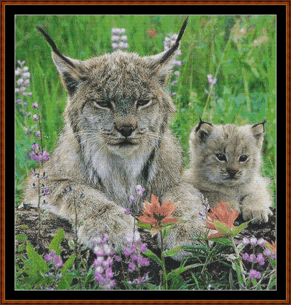 Lynx