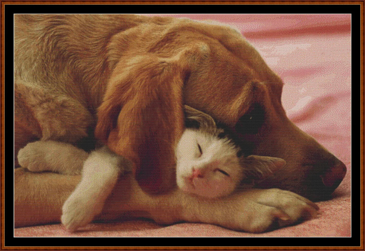 Safe Sleep