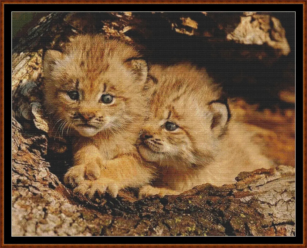 Brotherly Love