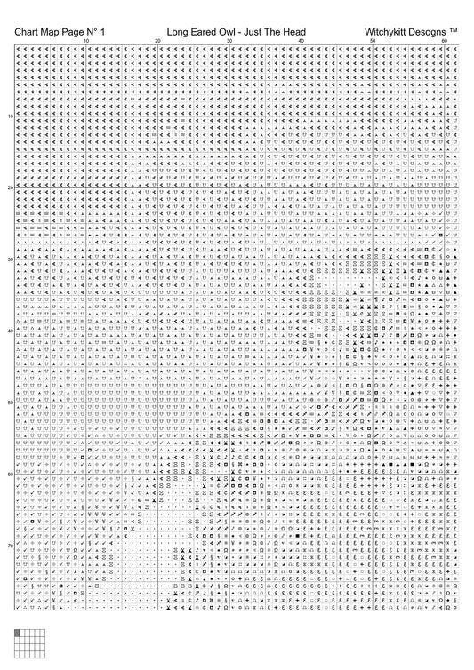 Long Eared Owl - Just The Head