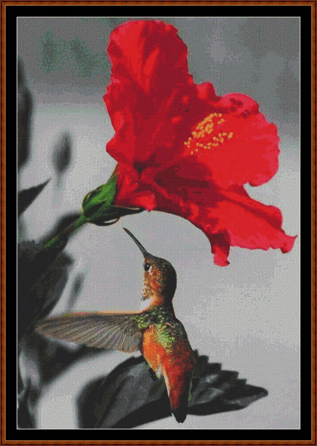 Hummingbird 2