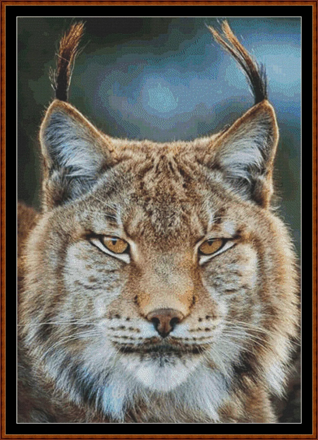 Lynx !