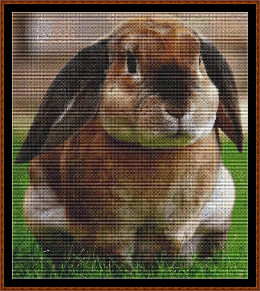 Runny Babbit