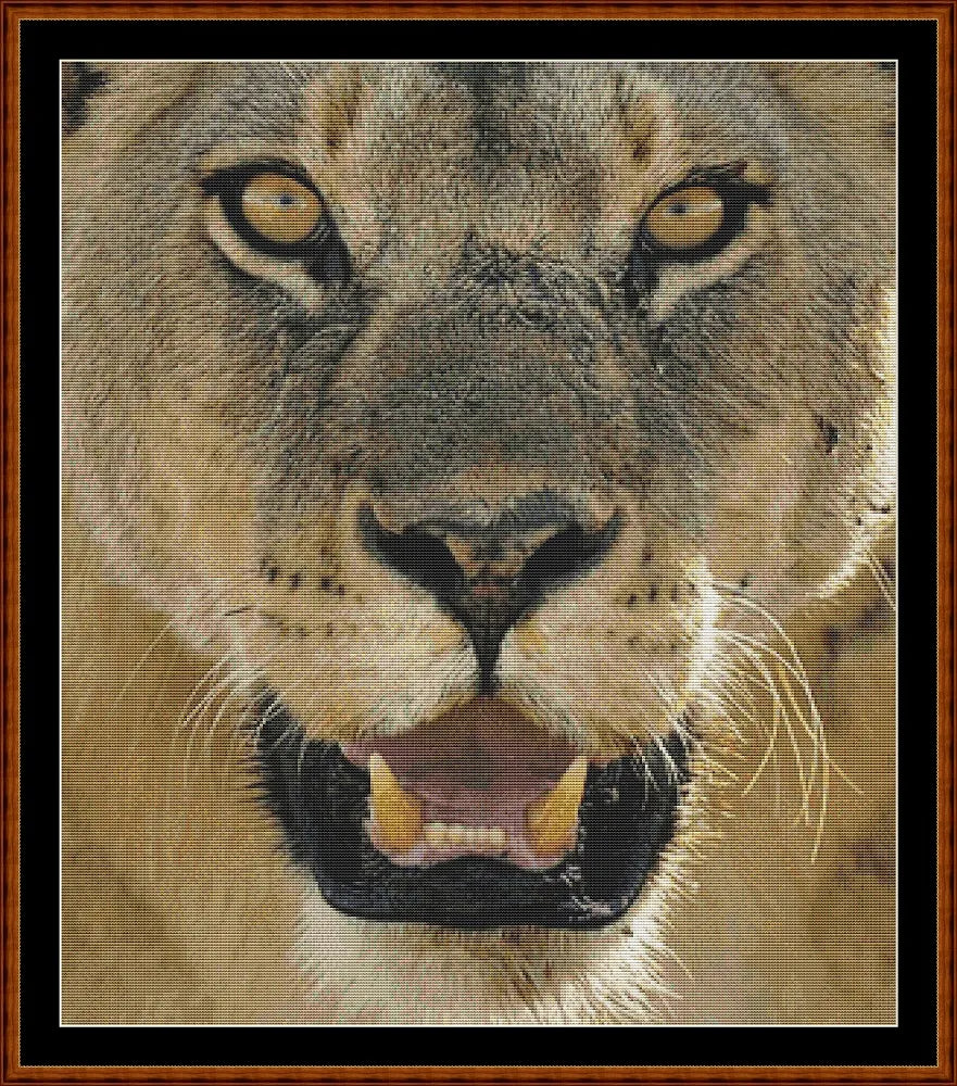 Lion ! (SMALL)