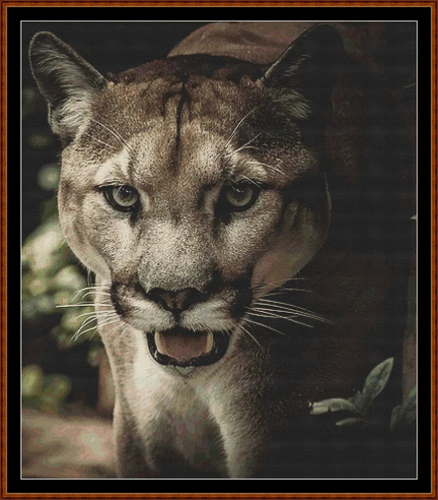 Puma