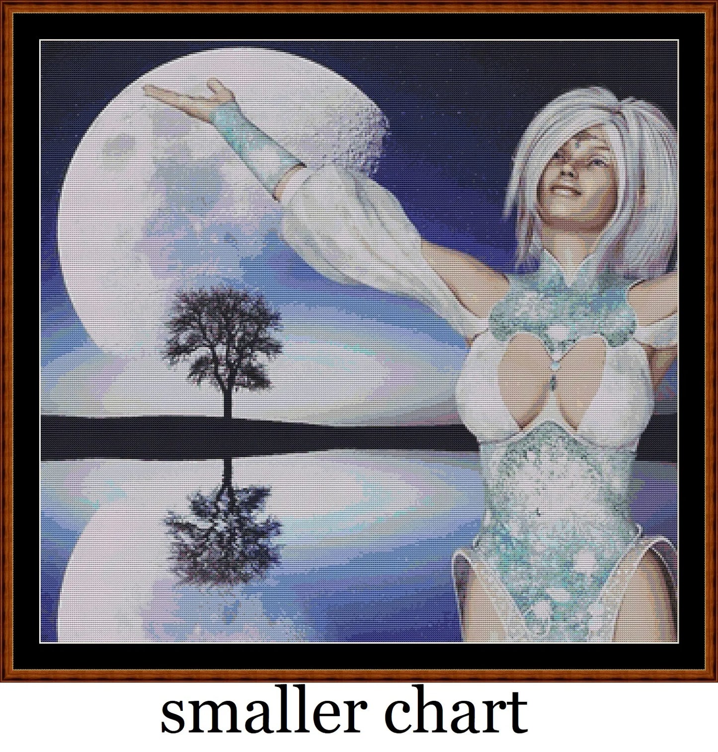 Moon Dancer