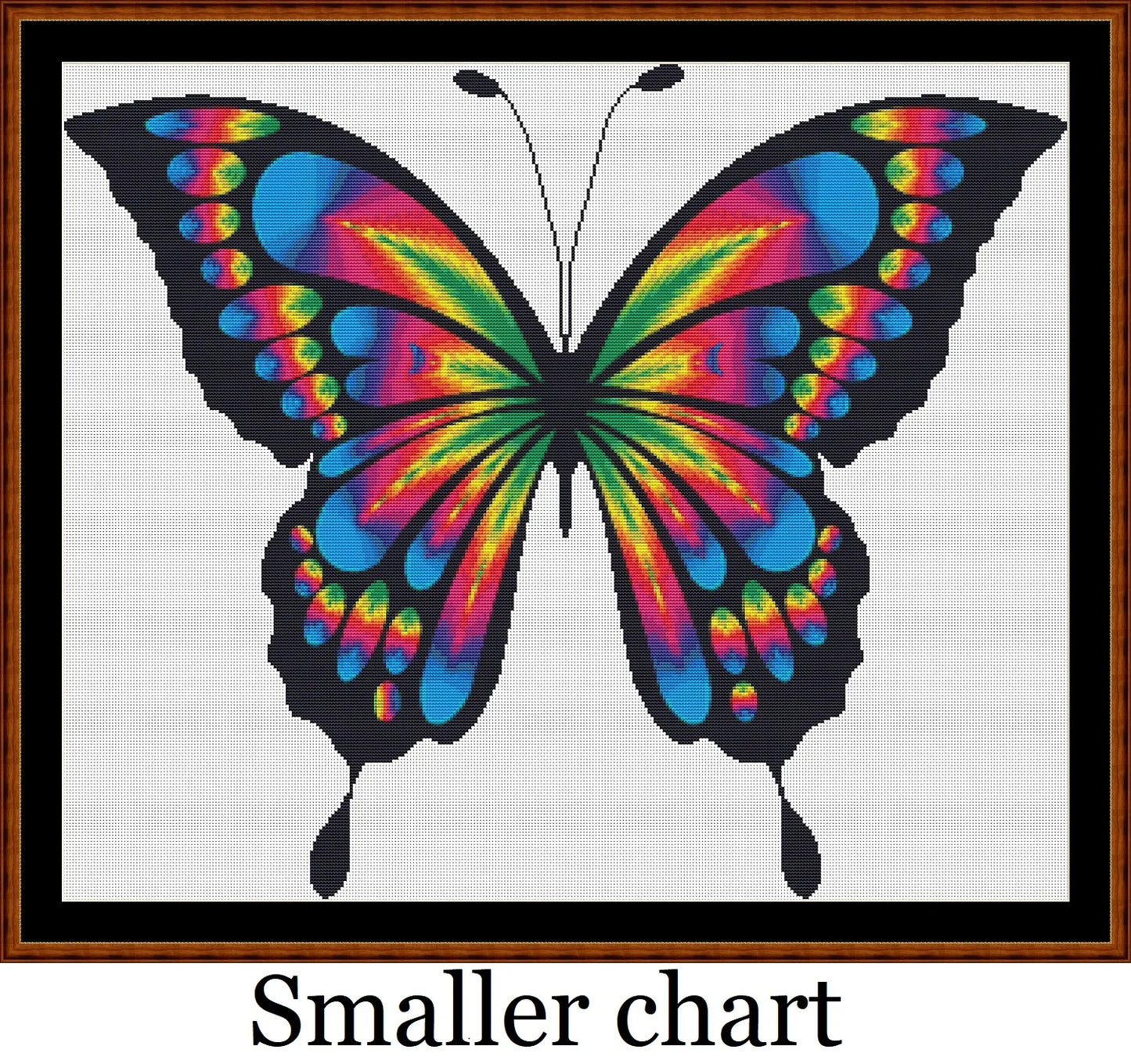 Rainbow Butterfly