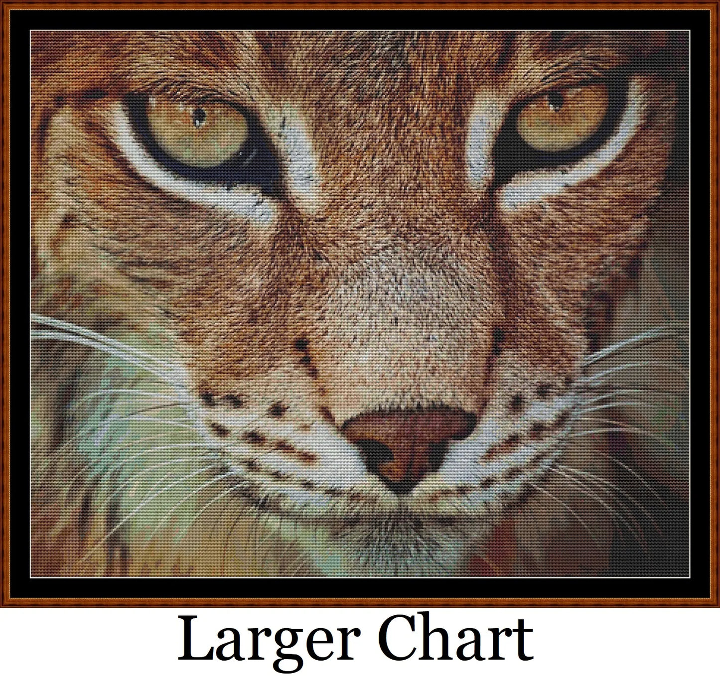 The Lynx