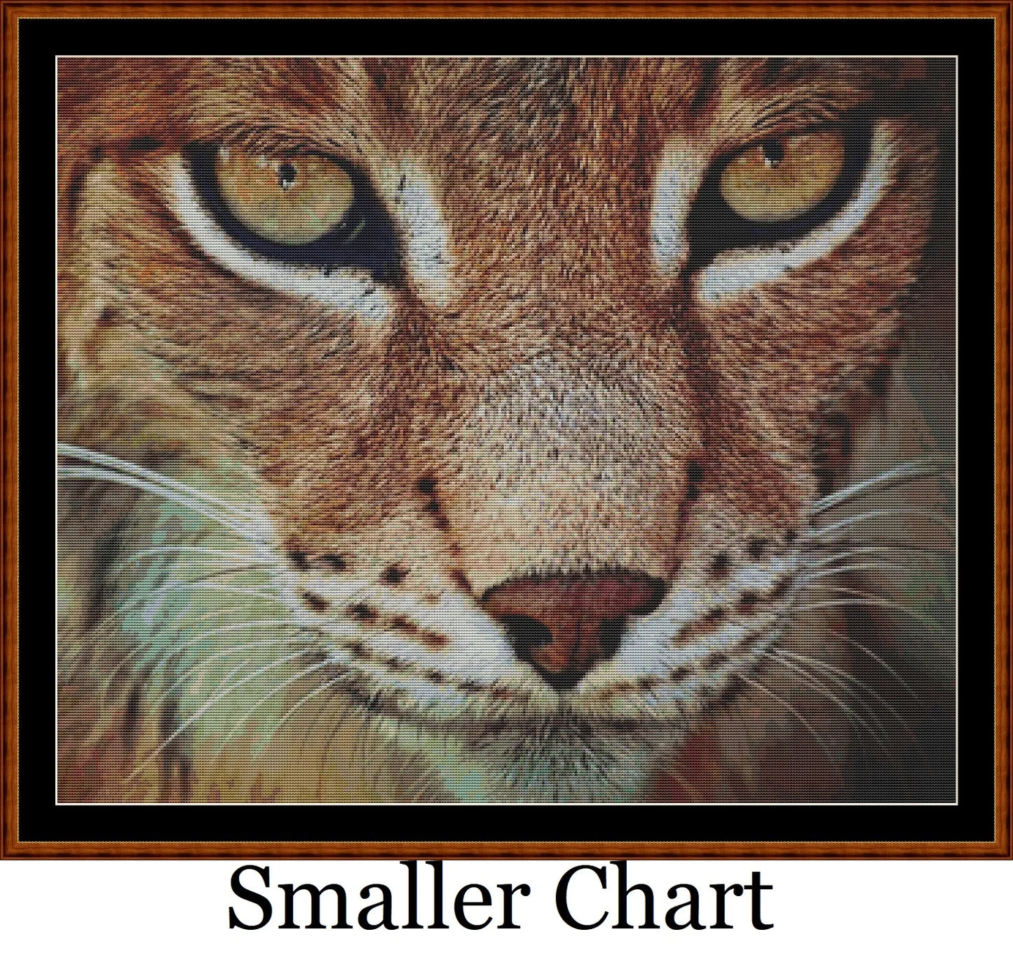 The Lynx