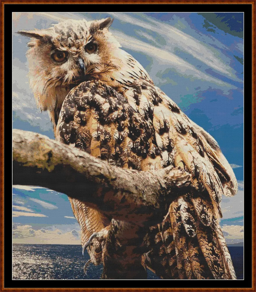 Look Of The Owl