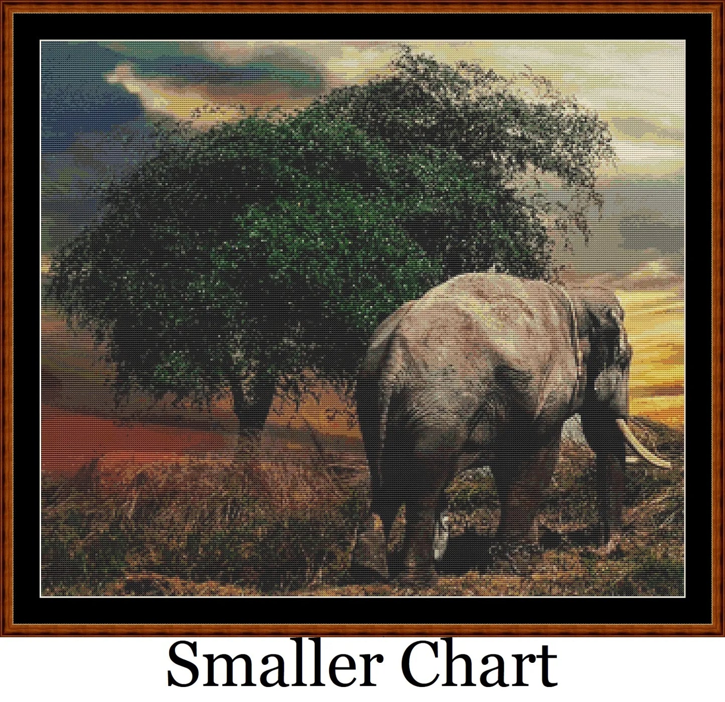 Elephant Tree