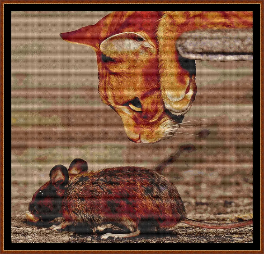 Cat & Mouse