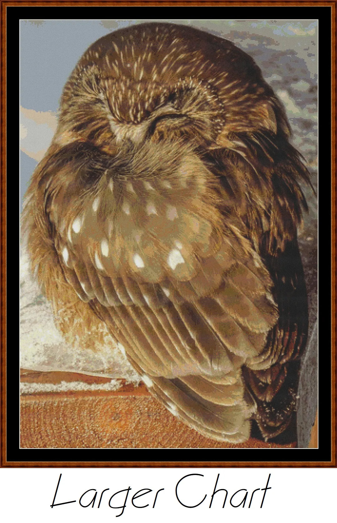 Sleepy Owl patterns created from a photo by Brigitte Werner (ArtTower) under CC0 license