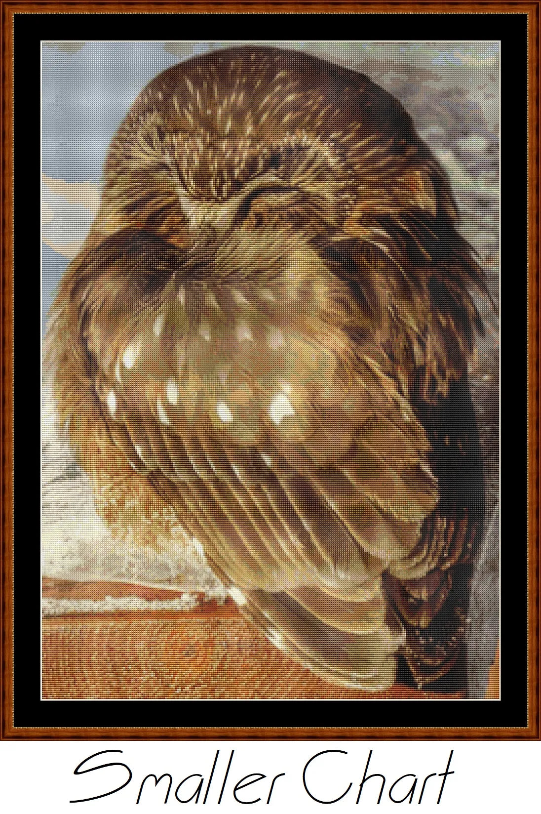 Sleepy Owl patterns created from a photo by Brigitte Werner (ArtTower) under CC0 license