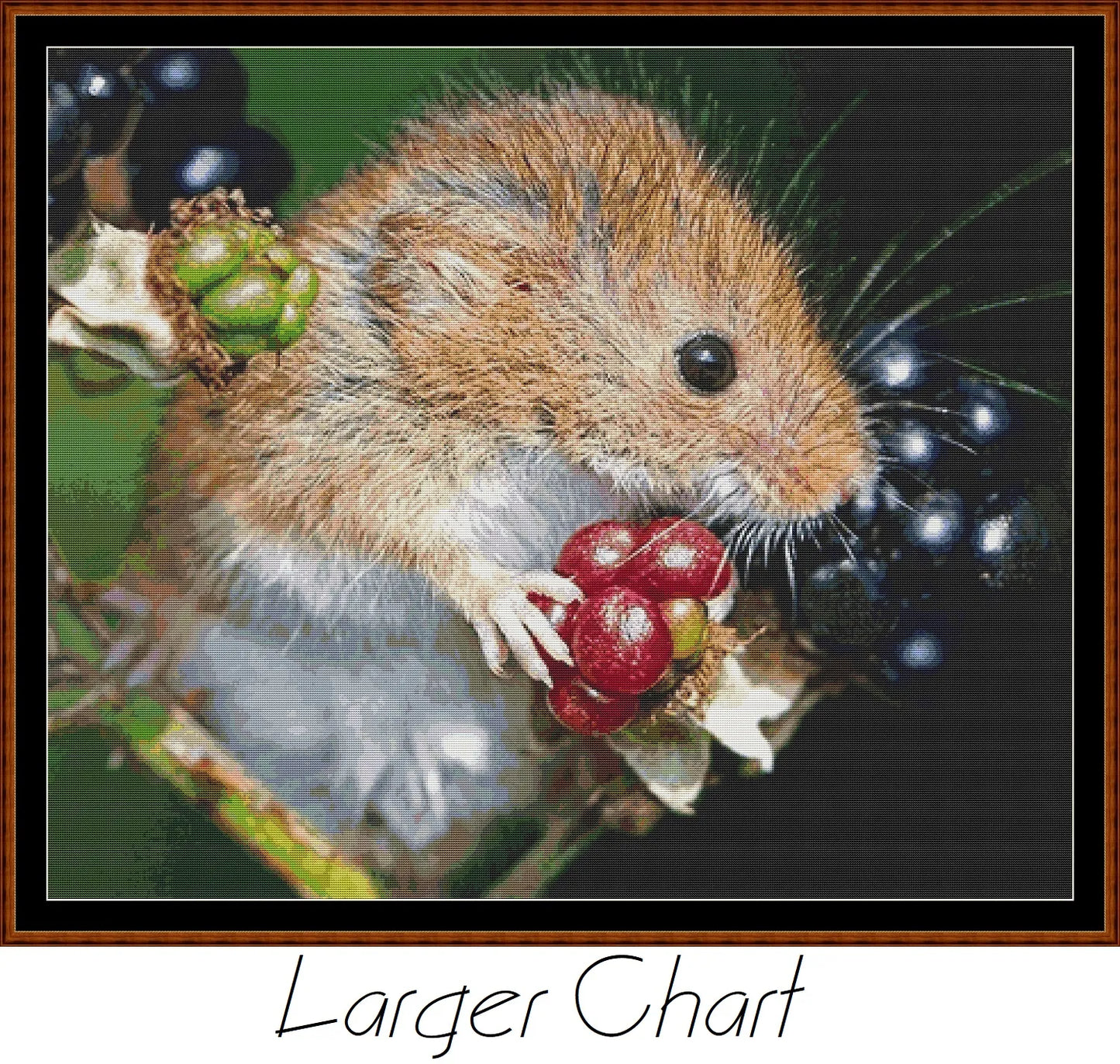 Harvest Mouse