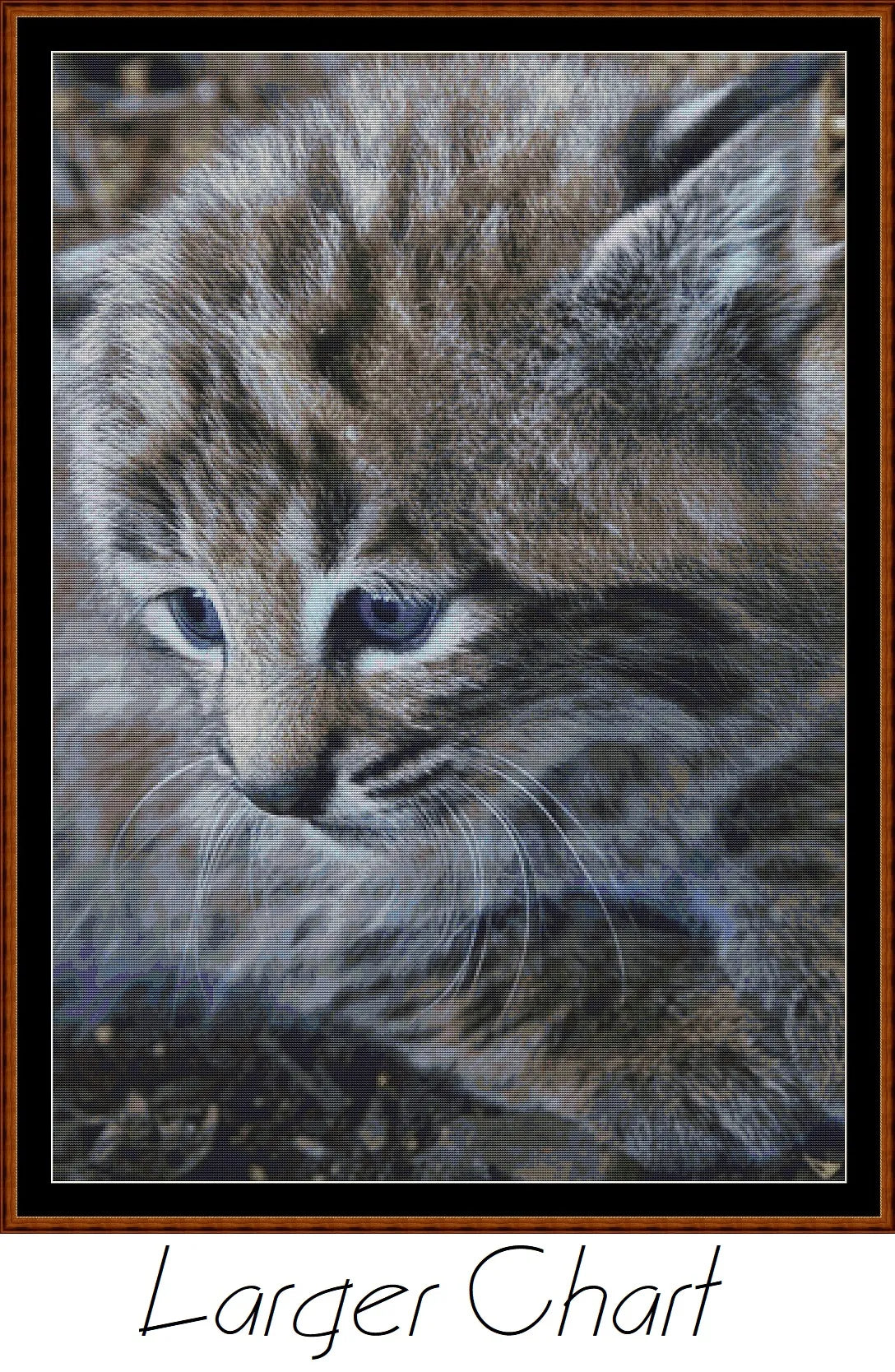 Fierce Babies - Bobcat