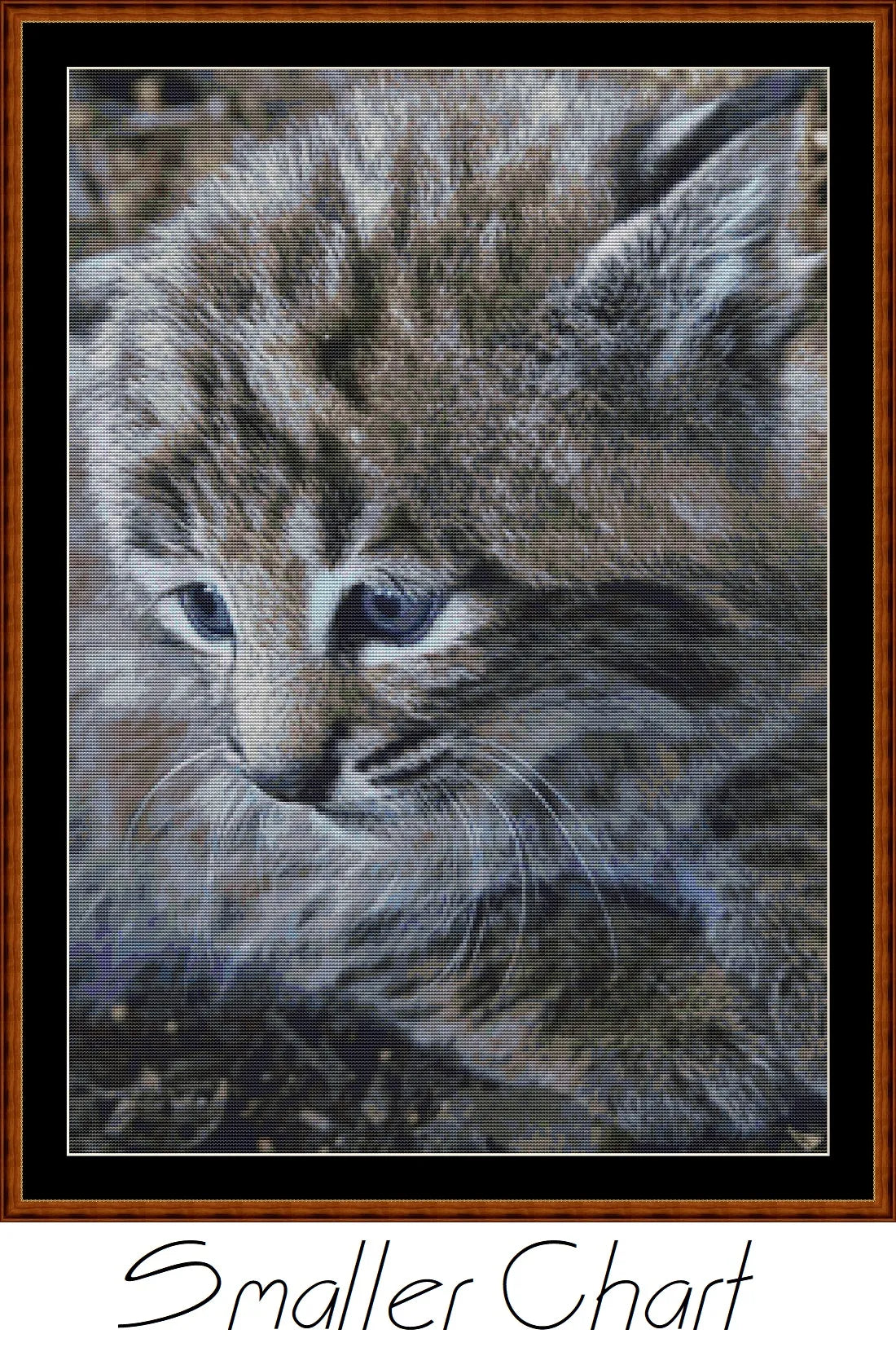 Fierce Babies - Bobcat
