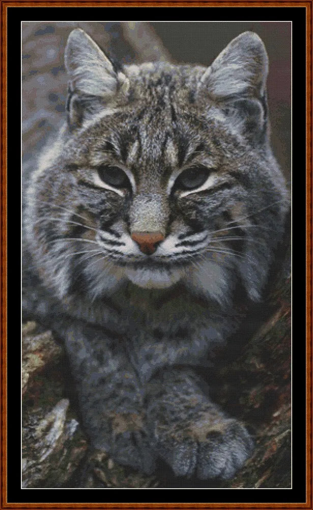 Fierce Creatures - Bobcat