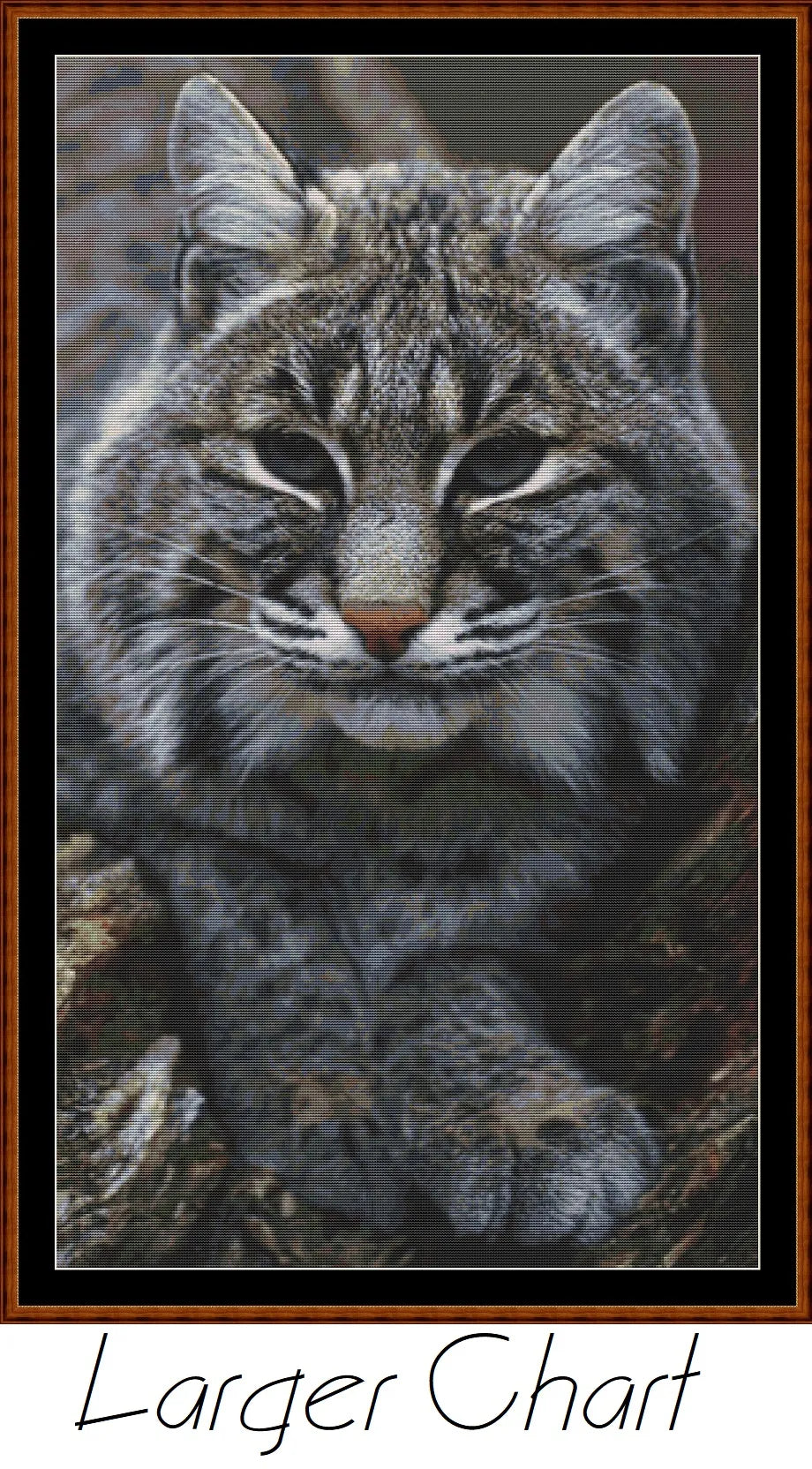 Fierce Creatures - Bobcat