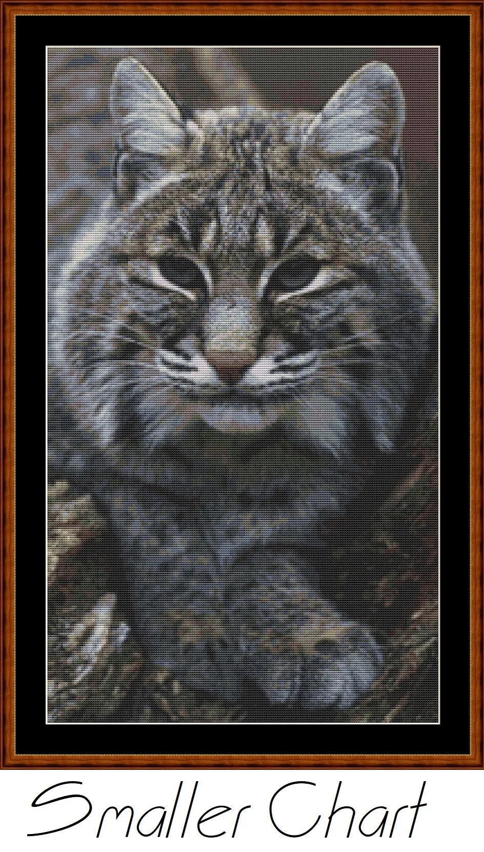 Fierce Creatures - Bobcat