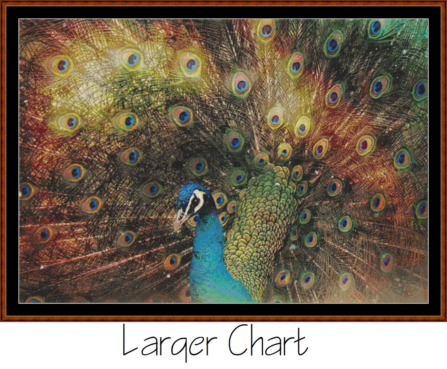 Rainbow Peacock
