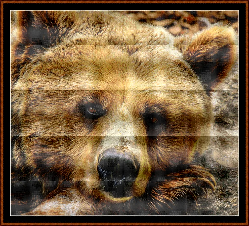 Fierce Creatures - Grizzly