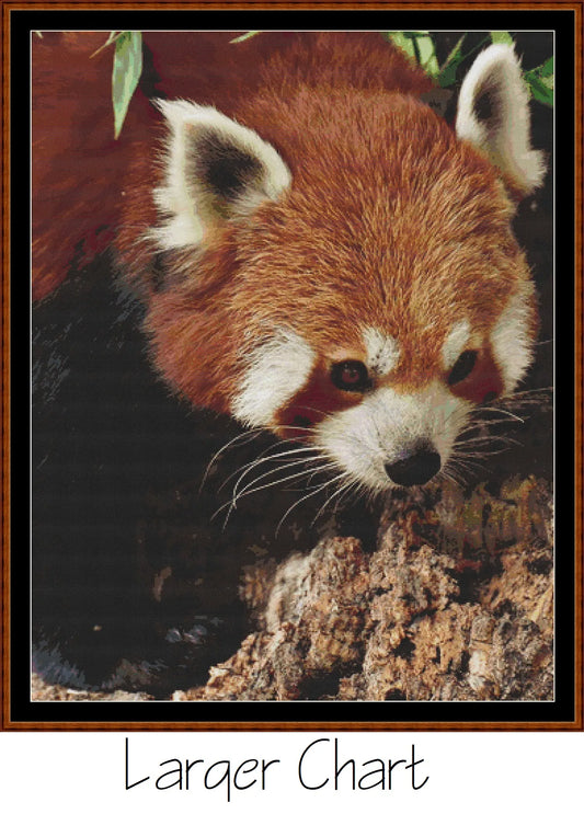 Fierce Creatures - Red Panda