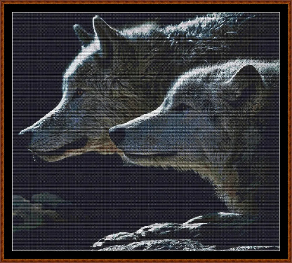Wolf Stare