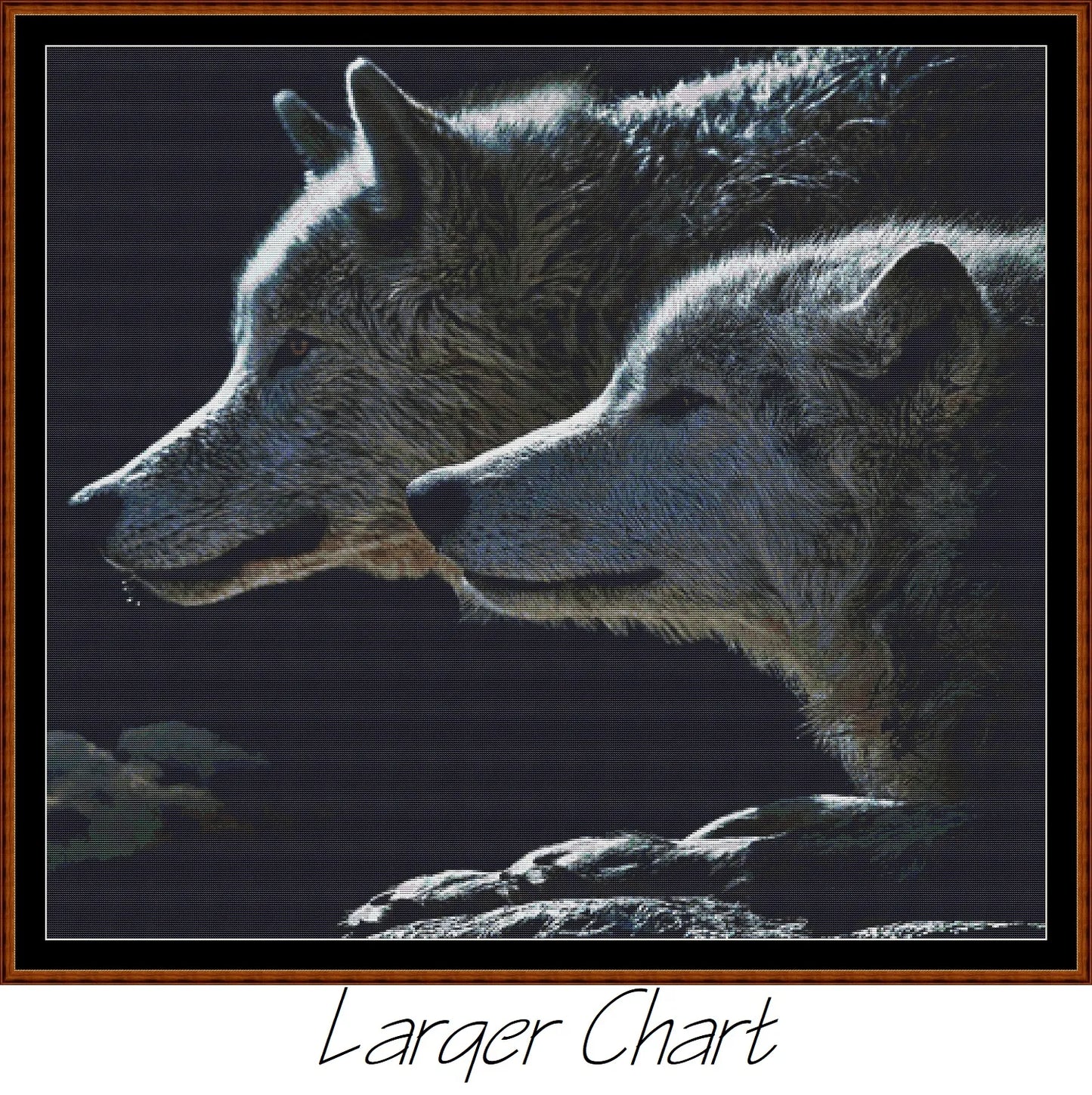 Wolf Stare