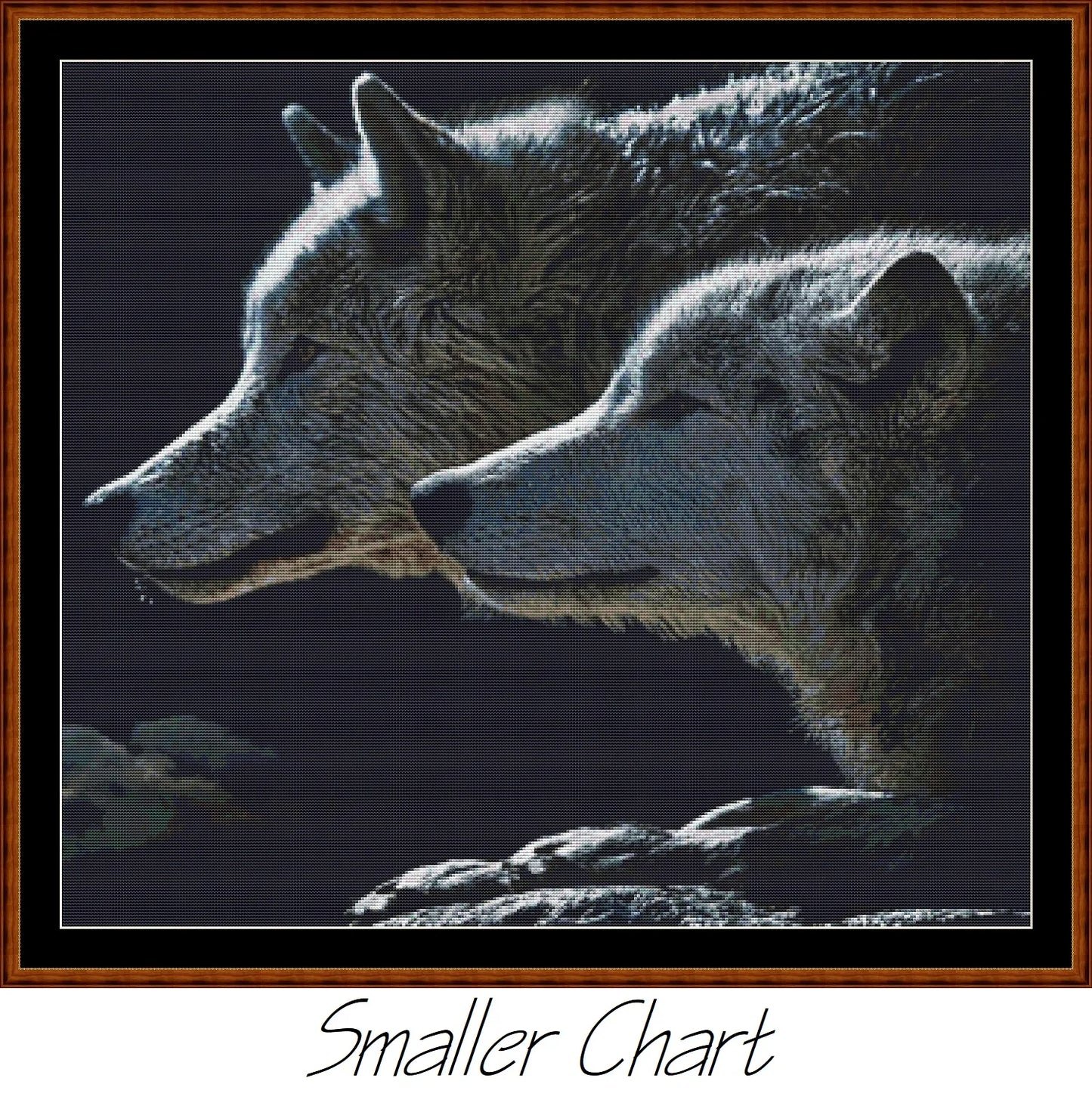 Wolf Stare