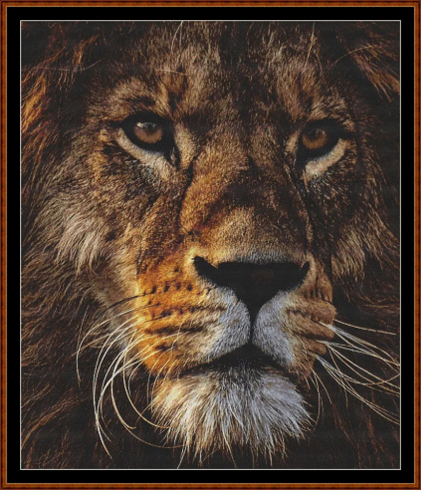 Fierce Creatures - Lion