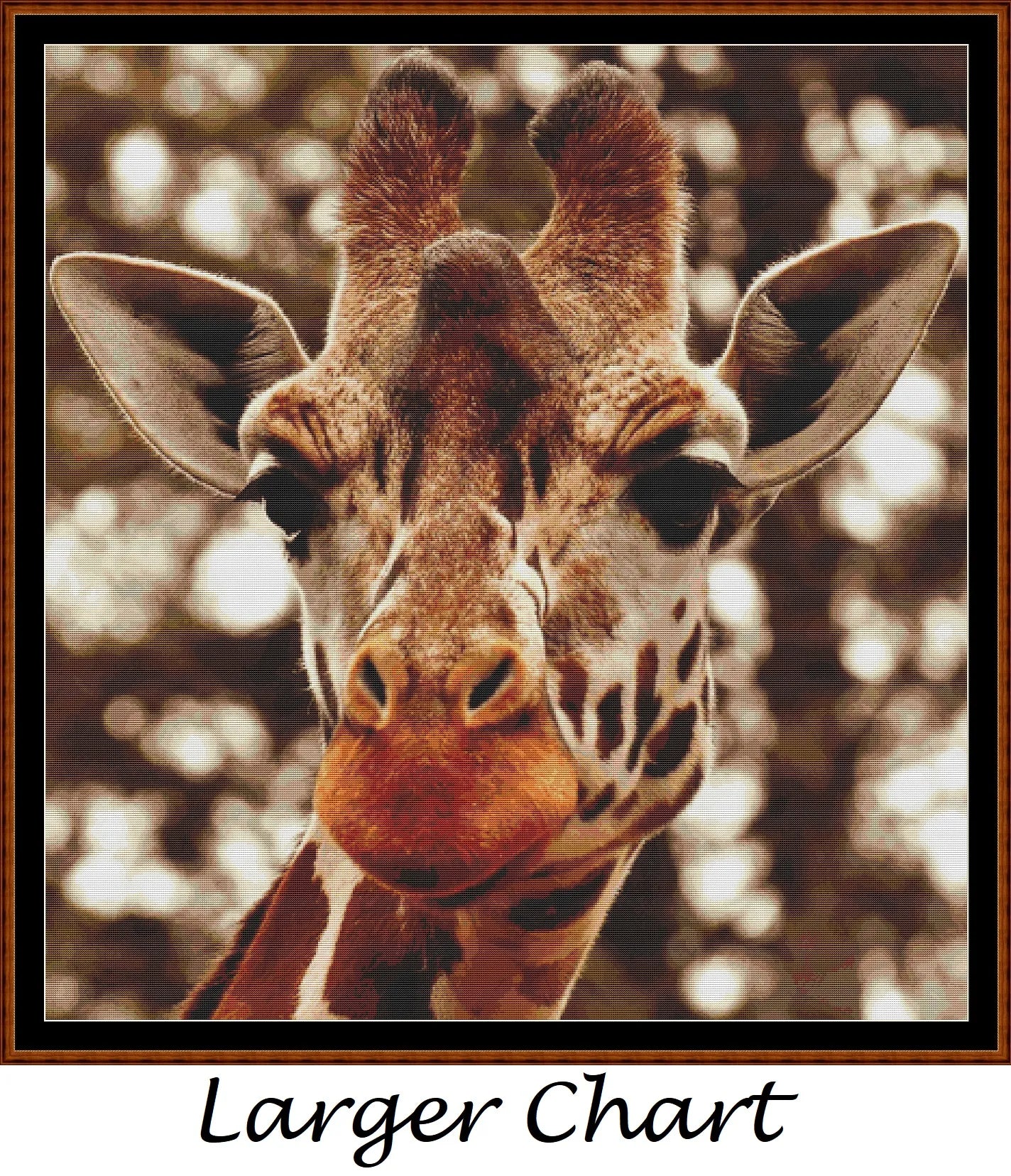 Giraffe Stare