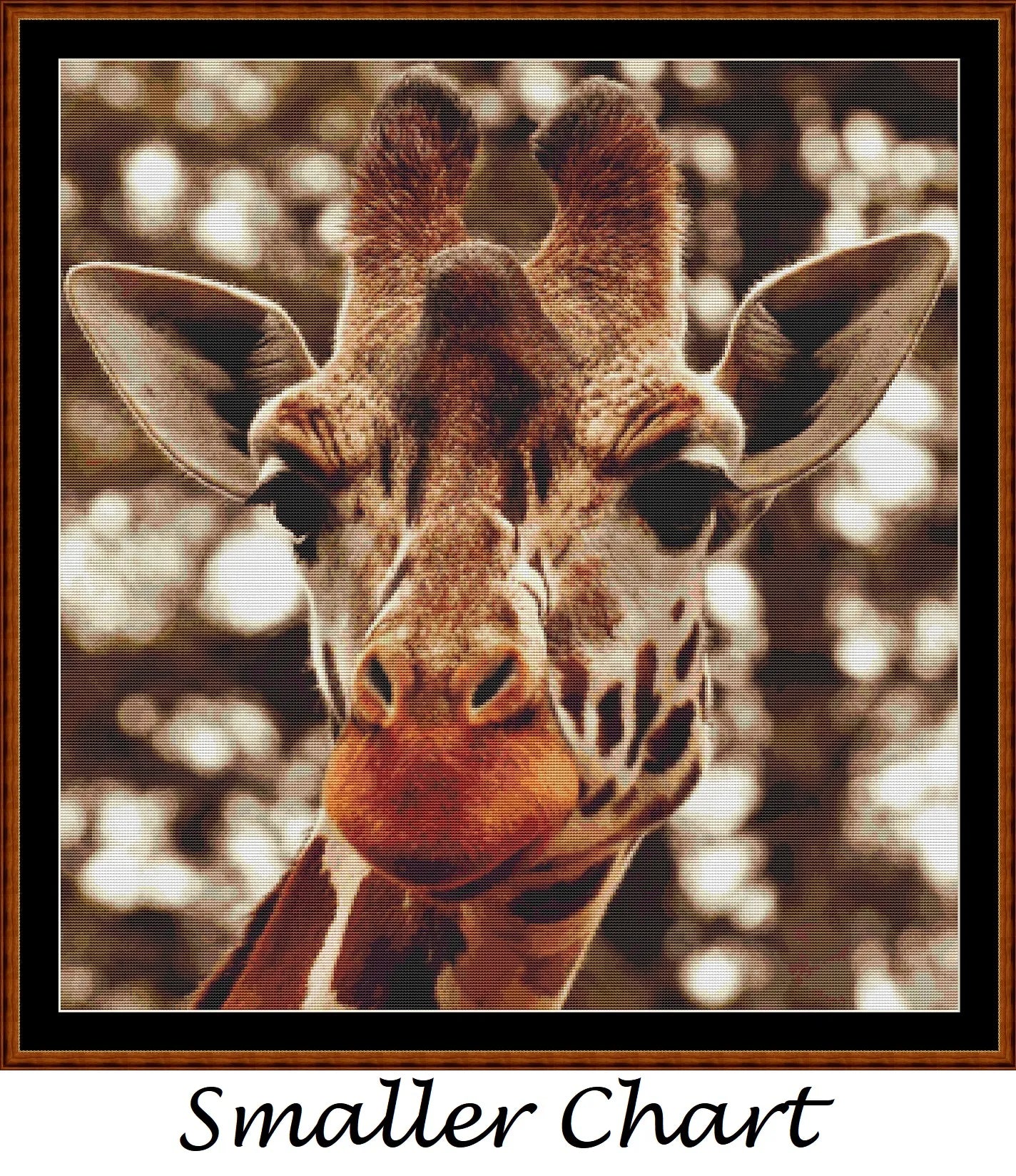 Giraffe Stare