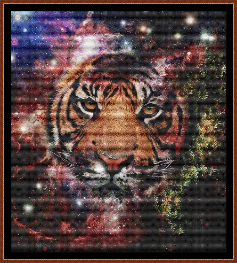 Space Kitty