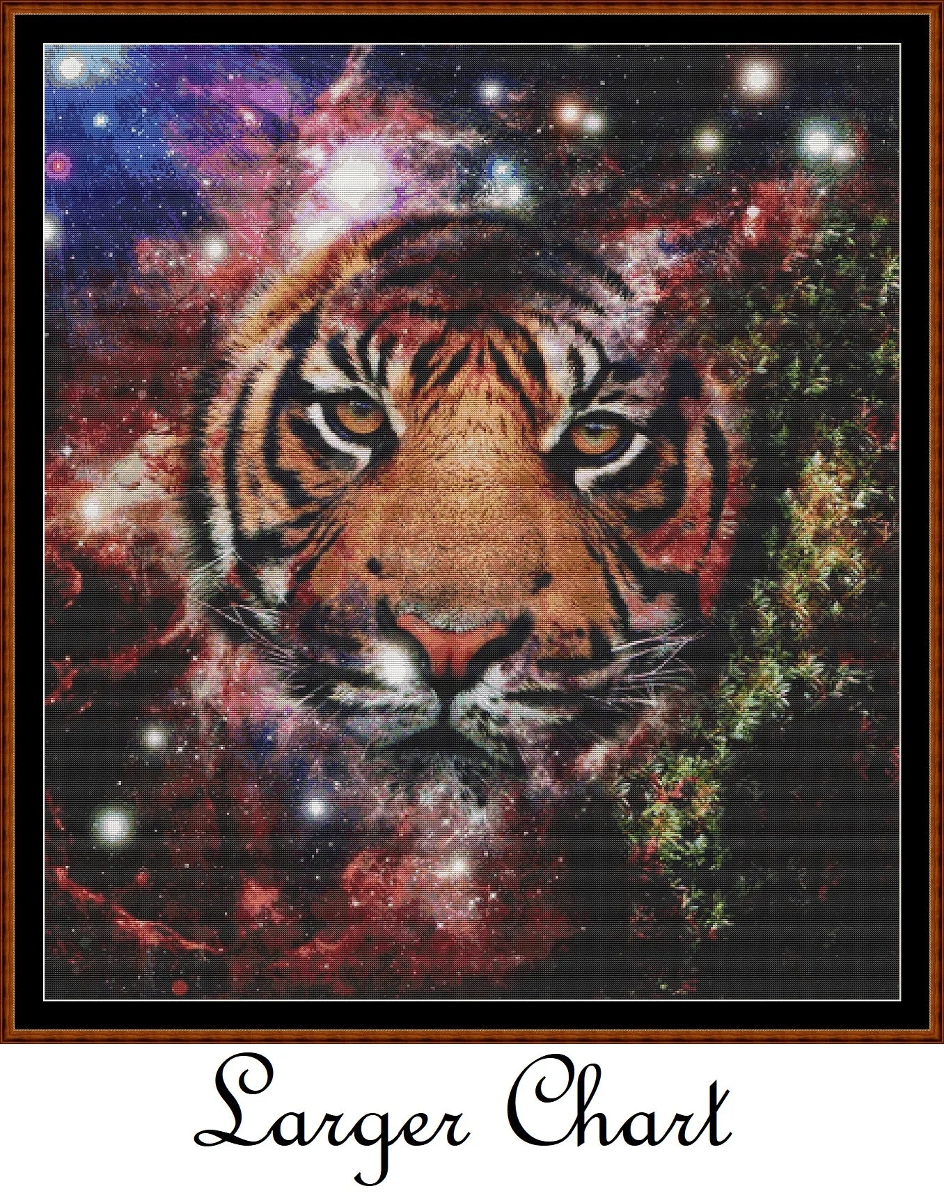 Space Kitty