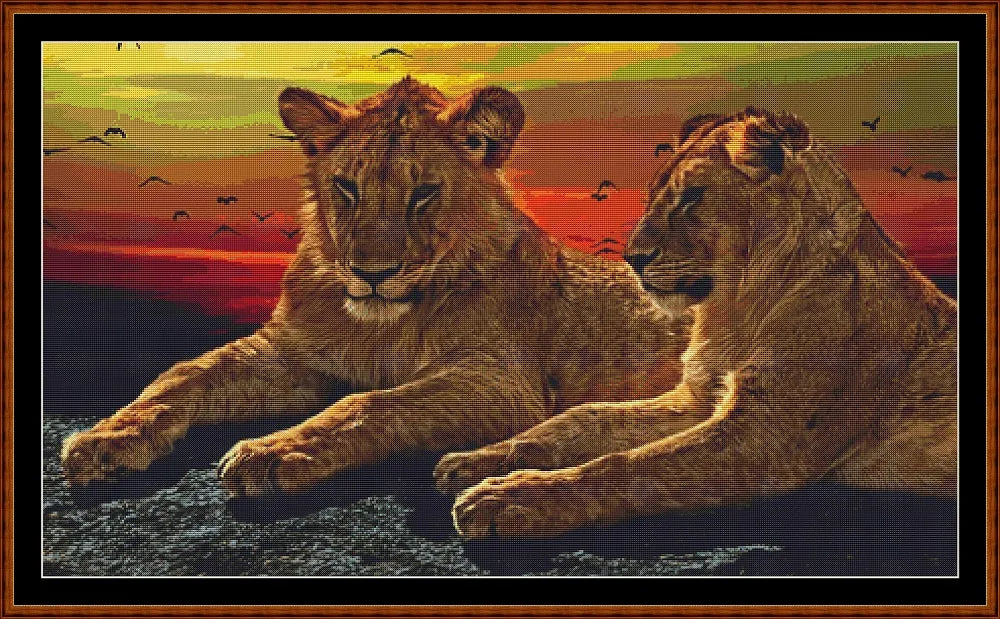 Sunset Lions