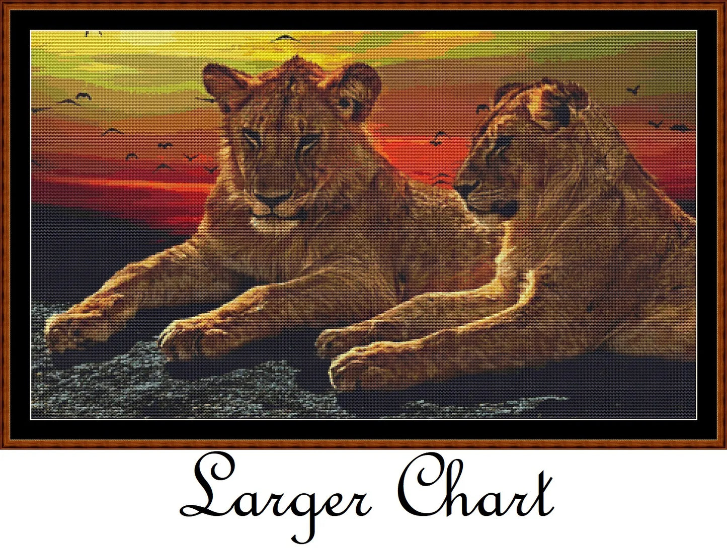 Sunset Lions
