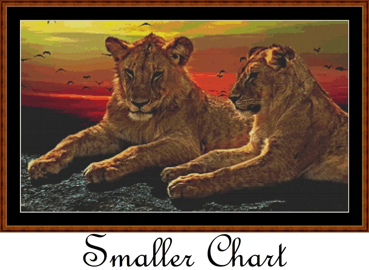 Sunset Lions