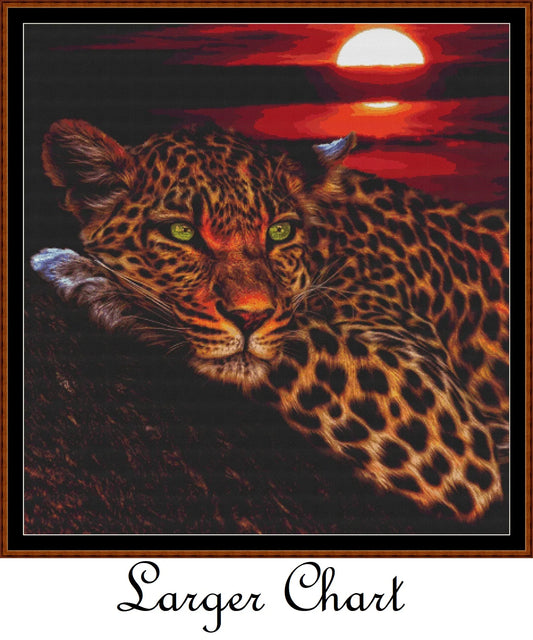 Sunset Leopard