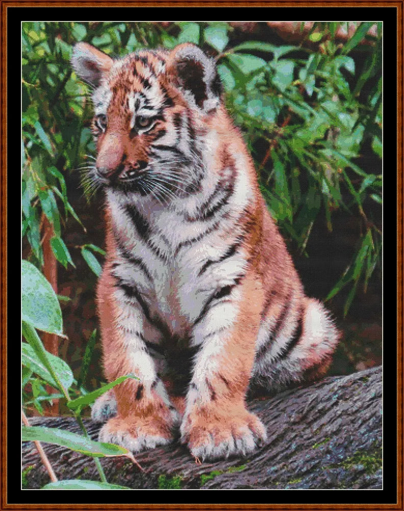 Fierce Babies - Tiger