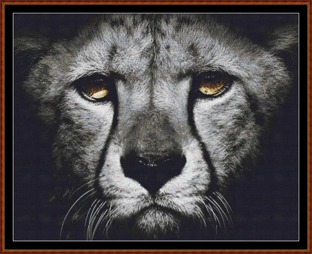 Dark Portrait - Leopard
