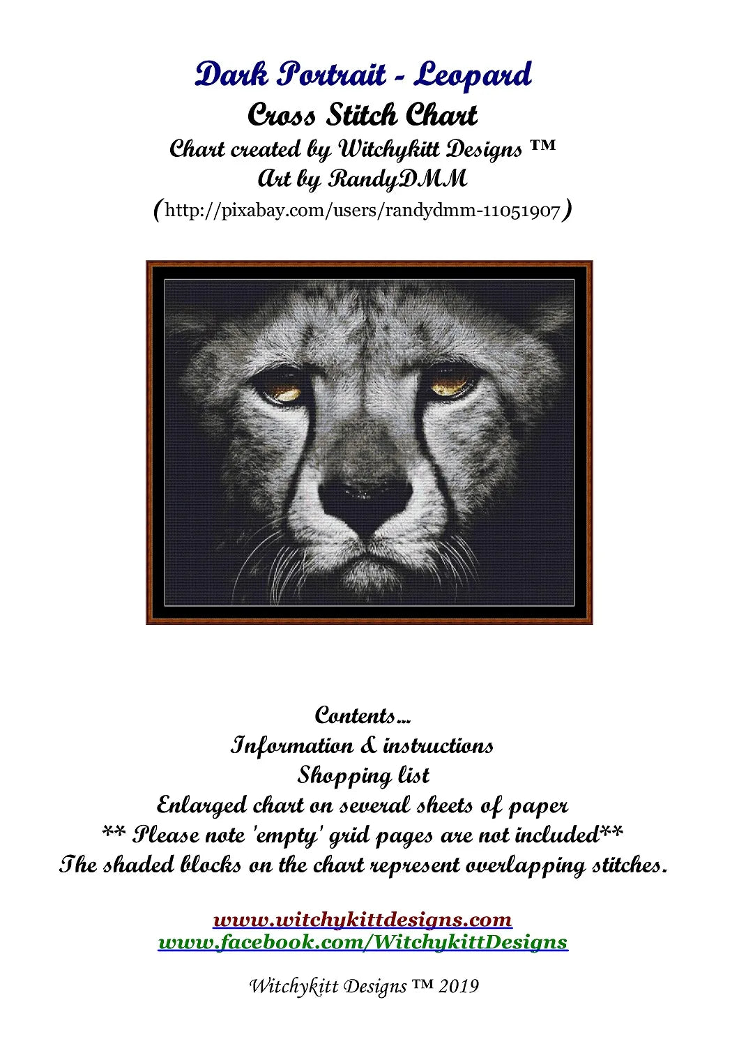 Dark Portrait - Leopard
