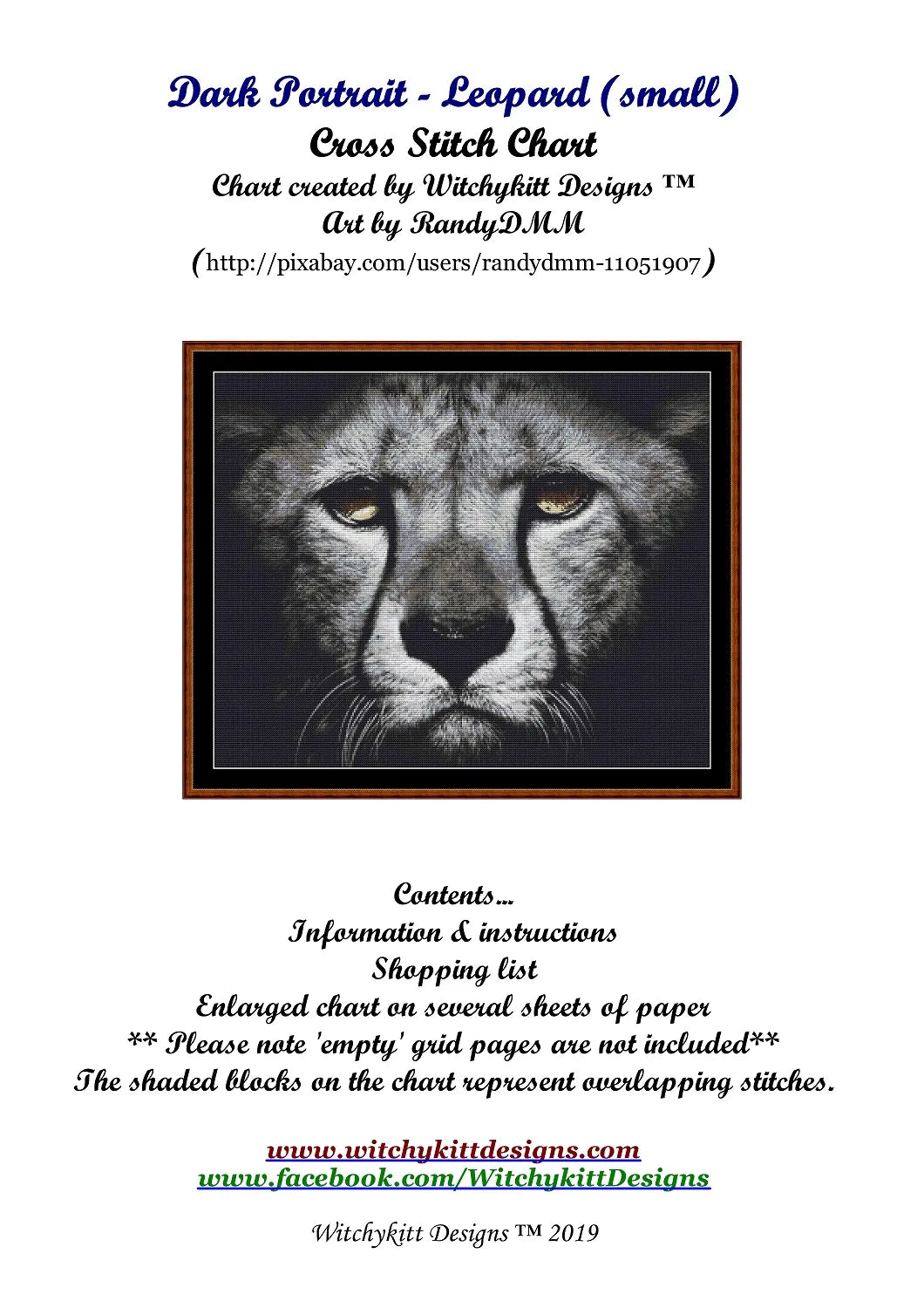 Dark Portrait - Leopard