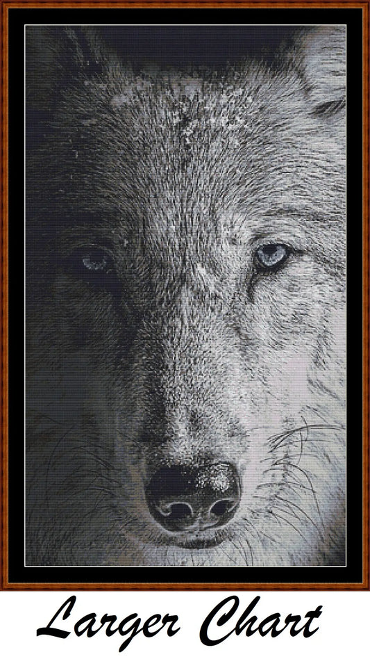 Dark Portrait - Wolf