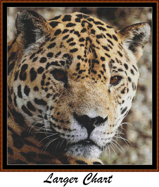 Wild Faces - Jaguar