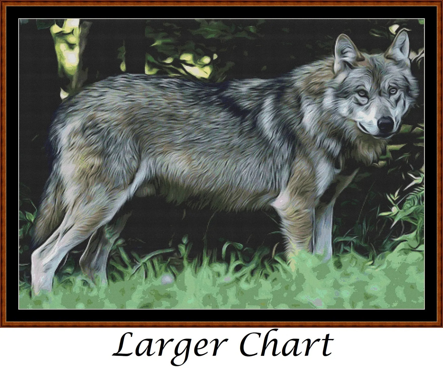 Wolf Portrait